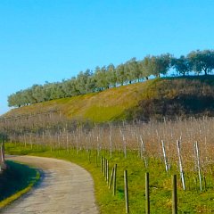 P1170037  Il noto, delizioso, piccolo altopiano. Colà a sx.